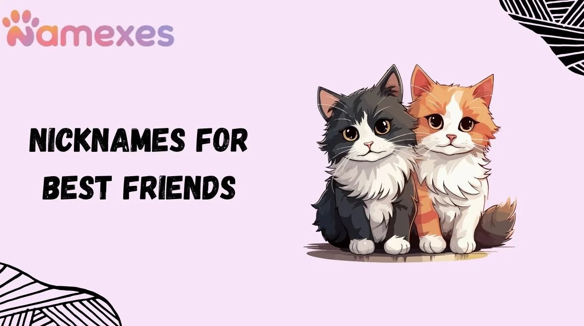 Nicknames for Best Friends