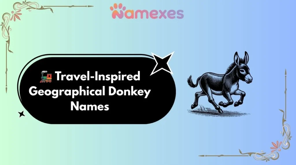 π Travel-Inspired Geographical Donkey Names