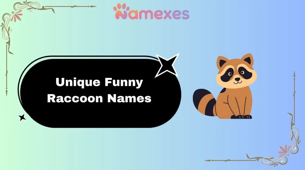 Unique Funny Raccoon Names