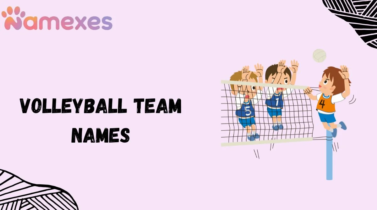 Volleyball Team Names